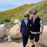 Joyce Nickerson Angelelli - @highgate72 - Instagram