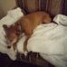 Joyce Otto - Facebook