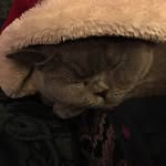 Joyce Otto - @joyceotto52 - Instagram