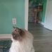Joyce Overstreet - Facebook