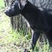 Joyce Mc Mahon Palmateer - Facebook