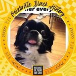 Joyce Pankey - @pankey_joyce - Instagram