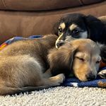 Joyce Parmley - @parmlja - Instagram