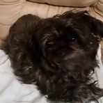 Joyce Parmley - Facebook
