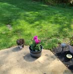 Joyce Paschal - Facebook