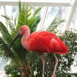Joyce Passmore - @passjoy - Instagram