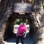 Joyce Passmore - @adajoycep - Instagram