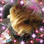 Joyce Pearson - @joyce.pearson.35912 - Instagram