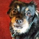 Joyce Pelletier - @joyce.pelletier.2262 - Instagram