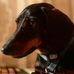 Joyce Pelletier - Facebook