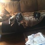 Joyce Pence - @joyce.pence - Instagram