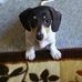 Joyce Pennock - Facebook