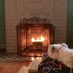 Joyce Penrod - @savvy_at_70 - Instagram