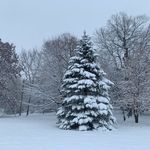 Joyce Peterson - @joycepeterson1966 - Instagram