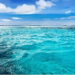 Joyce Ann Pierre - @aspirations_inspiration - Instagram
