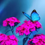 Joyce - @joyce_pierret - Instagram