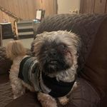 Joyce Pitt - @joyce.pitt.7 - Instagram