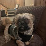 Joyce Pitt - Facebook