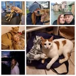 Joyce Steiner - @joyce.belleplante - Instagram