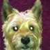 Joyce Plummer - Facebook