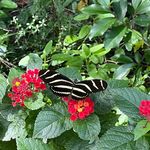 Joyce Polk - @joycepolk1035 - Instagram