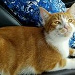 Joyce Polk - @joycepolk31 - Instagram