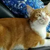 Joyce Polk - @joyce.polk5 - TikTok