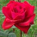 Joyce Powers - Facebook