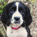 Joyce Proper - Facebook