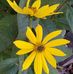 Joyce Pulley - Facebook