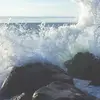 Joyce Purdy - @user6688634885117 - TikTok