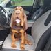 Joyce Purvis - Facebook