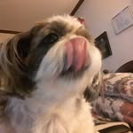Joyce Purvis - @joyce.purvis.5070 - Instagram