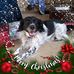 Joyce Ramey - Facebook