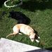 Joyce Rand Walsh - Facebook