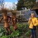 Joyce Ratcliffe - Facebook