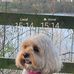 Joyce Ratcliffe - Facebook