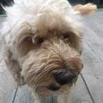 Joyce Rayner - @rayner3272 - Instagram