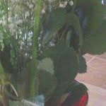 Joyce Perez - @joyce.grayson.92 - Instagram
