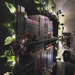 Joyce 📖🔮🌱 - @joycereadsbooksss - Instagram