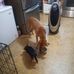 Joyce Rea - Facebook