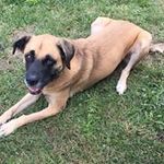 Joyce Lowe Newell-Rector - @jnewell50 - Instagram