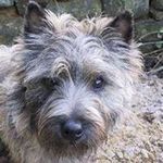 Joyce Rector - @joycerector - Instagram