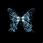 Joyce Rector - Facebook