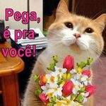 Jocelma Rendleman - @jocelma.rendleman - Instagram