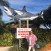 Joyce Ridgway - Facebook