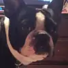 Joy Rigdon - @joyrigdon - TikTok
