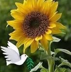 Joyce Rigsby - Facebook