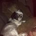 Joyce Ritter - Facebook