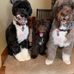 Joyce B Robb - Facebook